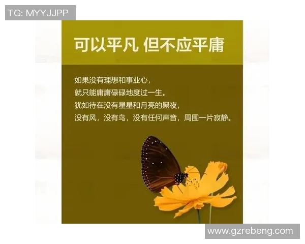 史鸿飞的奋斗历程与人生哲学探讨：从平凡到卓越的心路历程